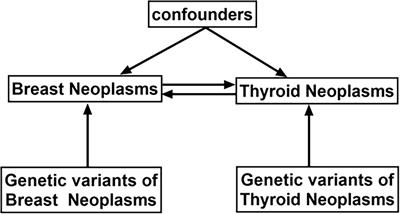Assessing the causality between thyroid and breast neoplasms: A bidirectional Mendelian randomization study